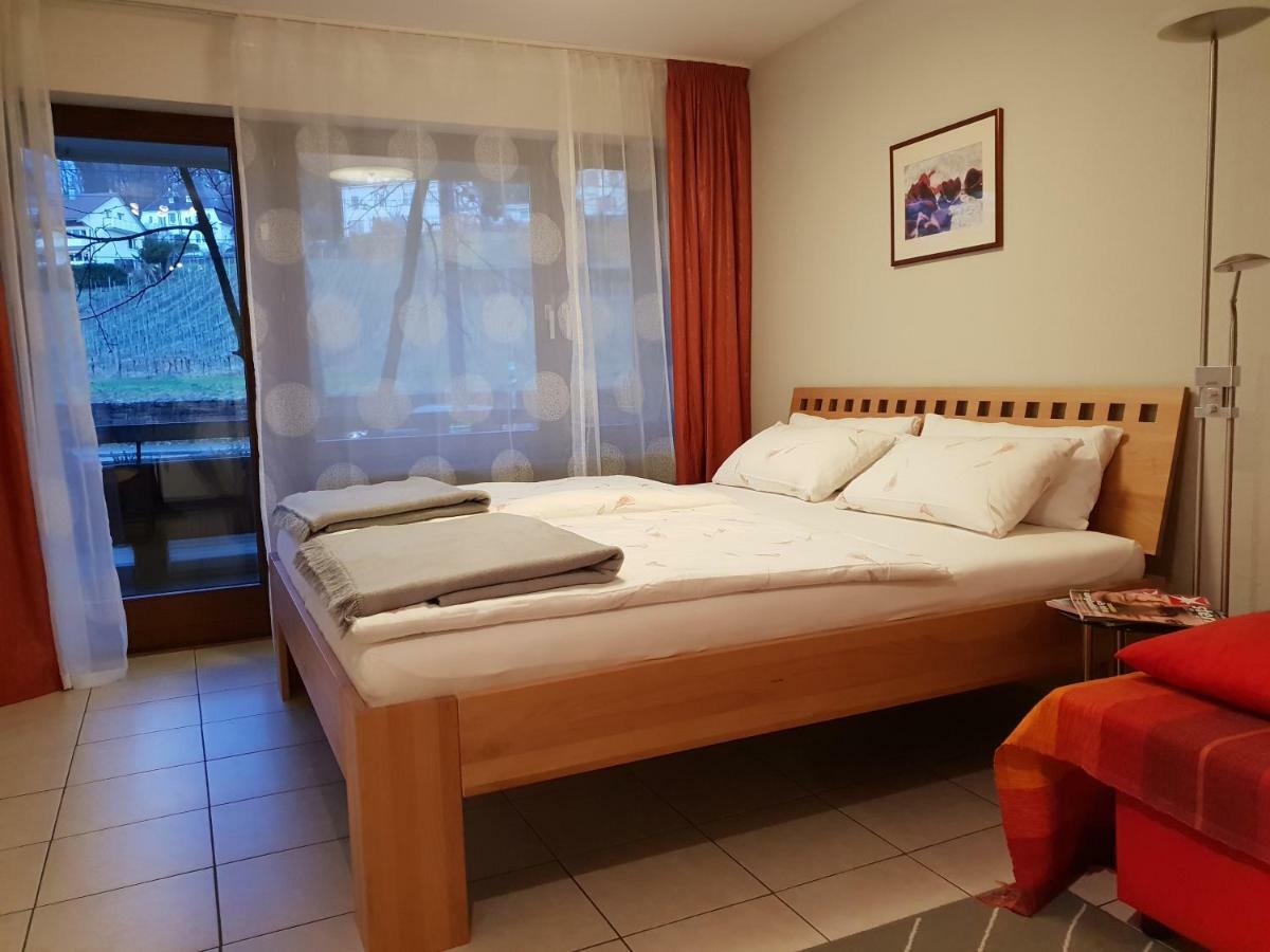 City Appartement 5 フライブルク エクステリア 写真